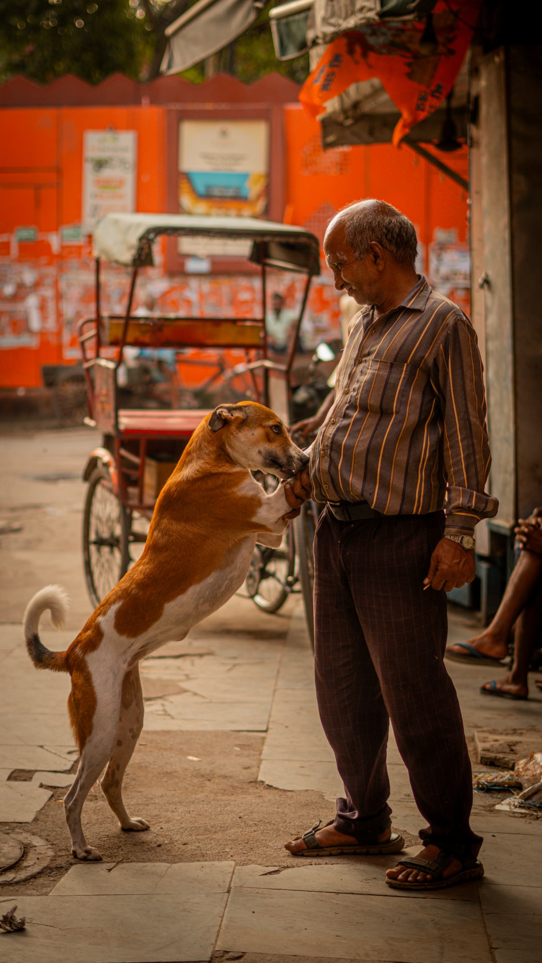 Man with dog jumping up